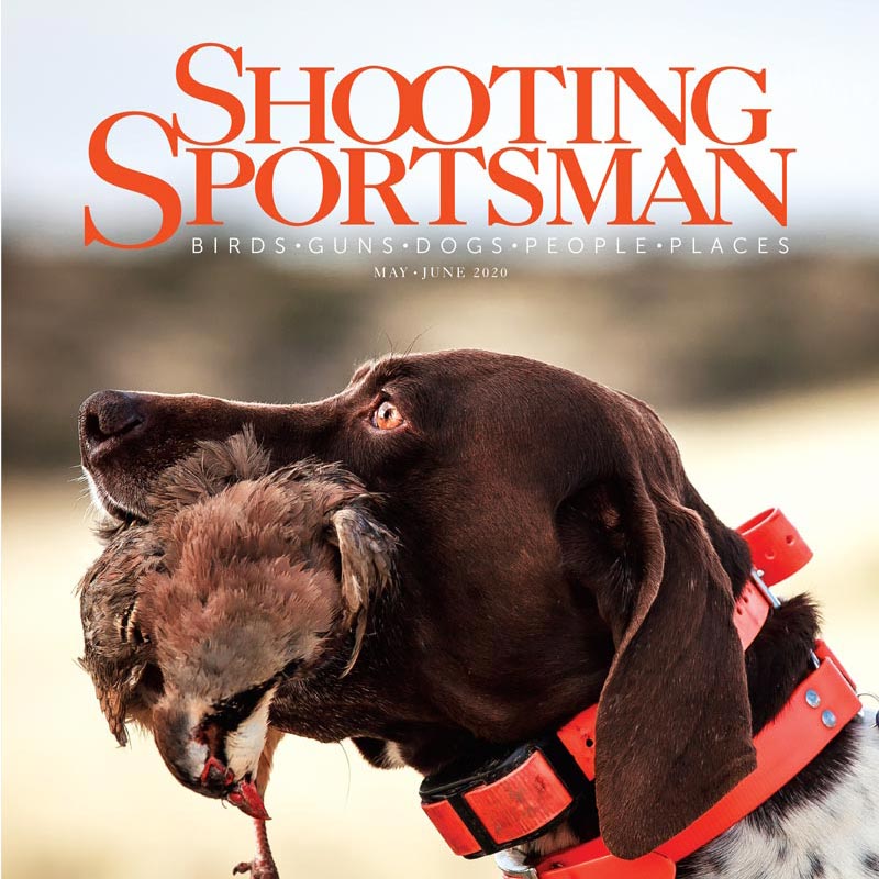 Shooting Sportsman