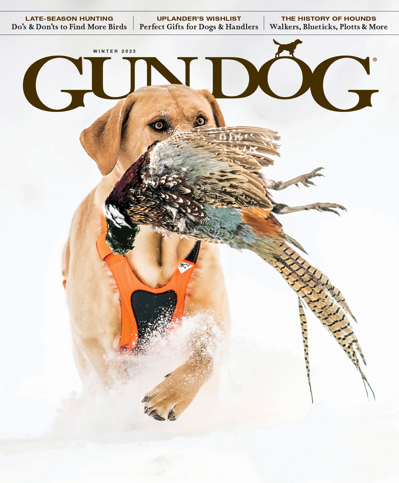 Gun Dog Magazine